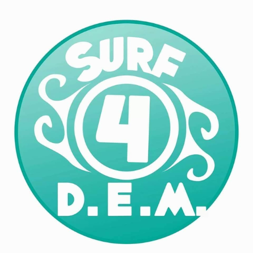 Foto: Logo Surf4DEM
